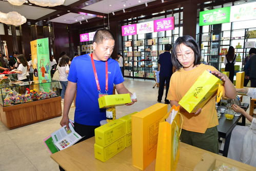 巨鹿新章 禮儀服務(wù)助力第二屆旅發(fā)大會(huì)，繪就全域旅游新畫(huà)卷